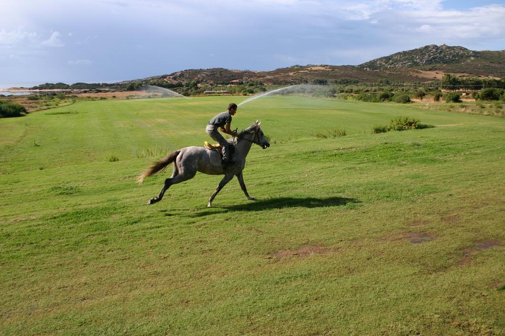 Sa Tiria Villa Chia Exteriör bild